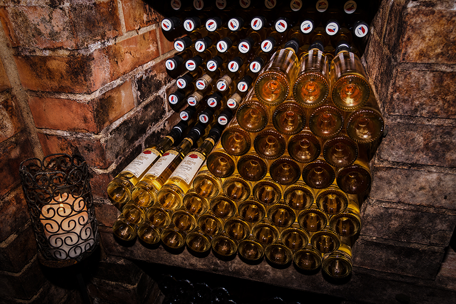 Vinařství MiQueen 2